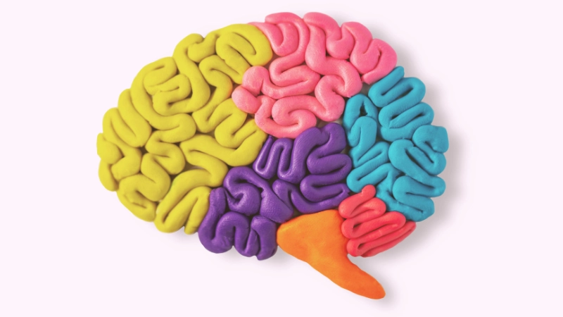 Rethinking Neurodiversity: Canada’s Shift Toward Acceptance and Belonging